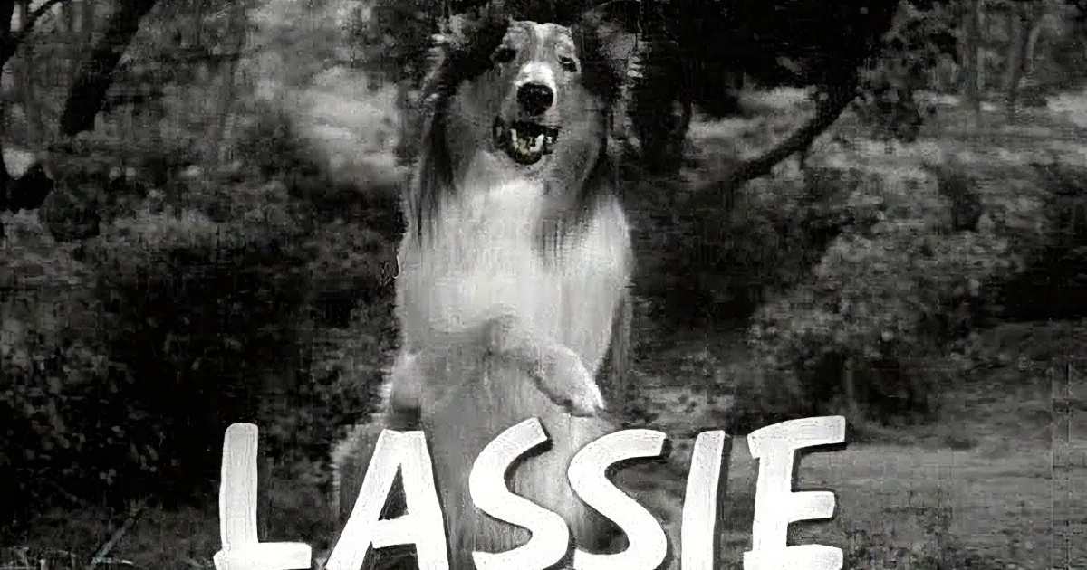A boy in overalls hugs a white dog in a field with trees in the background.