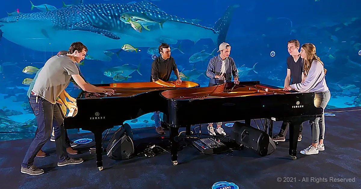 A group of musicians plays a grand piano in front of an aquarium backdrop featuring marine life.