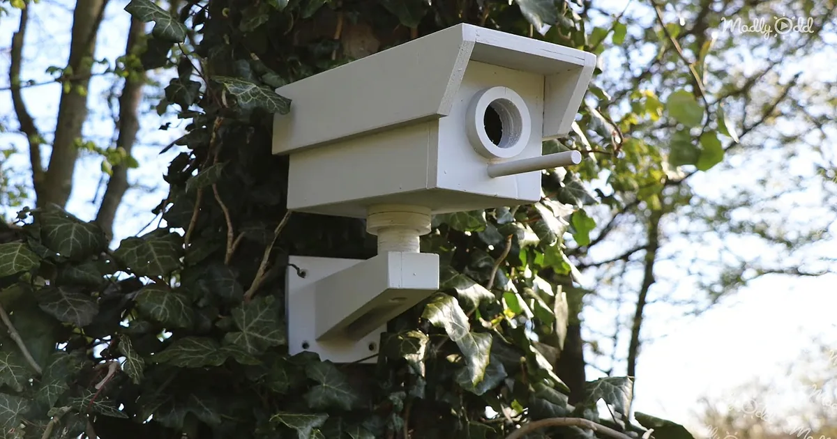 A white birdhouse with a circular entrance is mounted on a tree surrounded by green ivy.