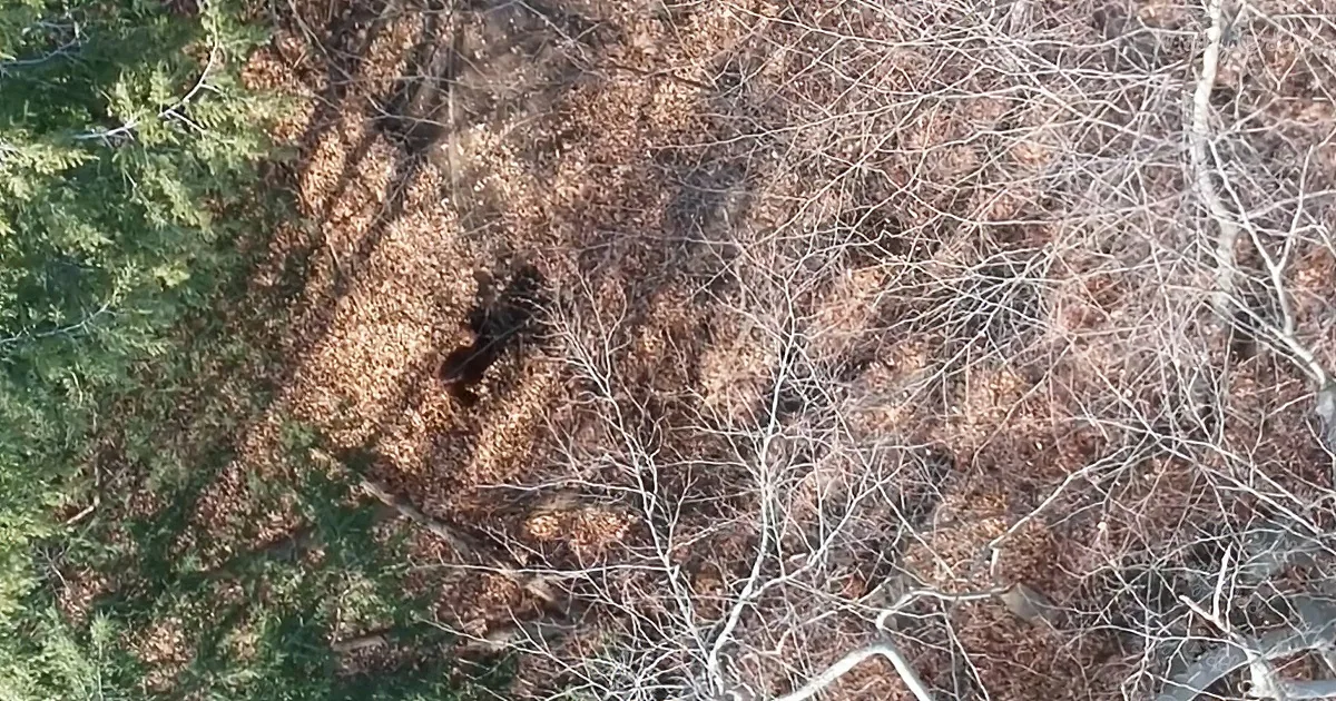 Expedition Captures Footage Presumed to Be Bigfoot