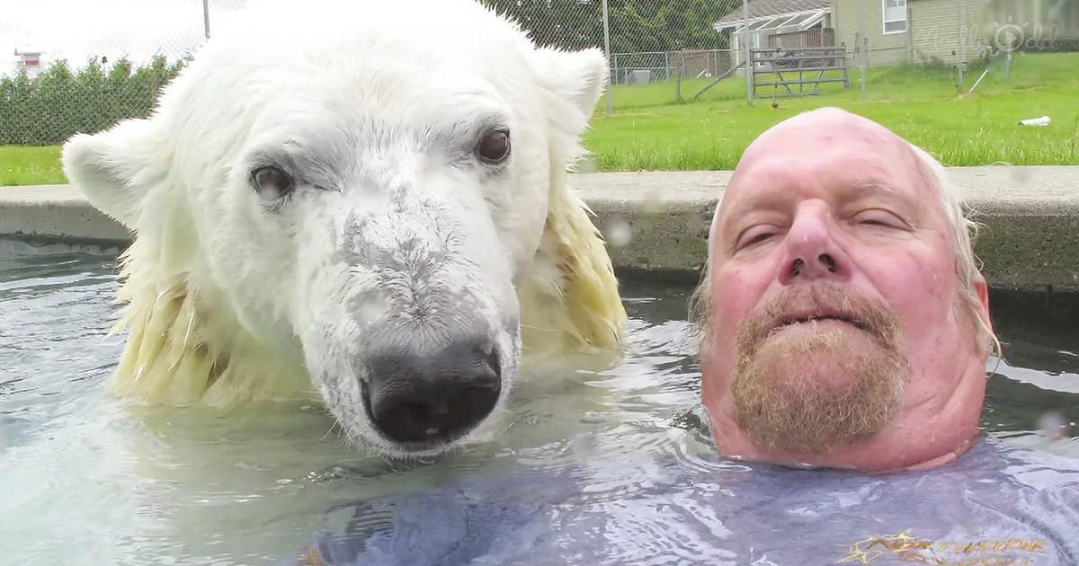 Man and White Bear Decide to Go for a Swim