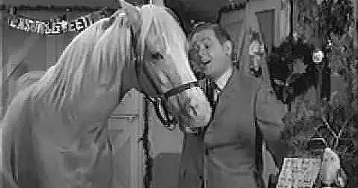 Mr Ed's Argument About Inheritance Creates Tears of Laughter 50+ Years Later