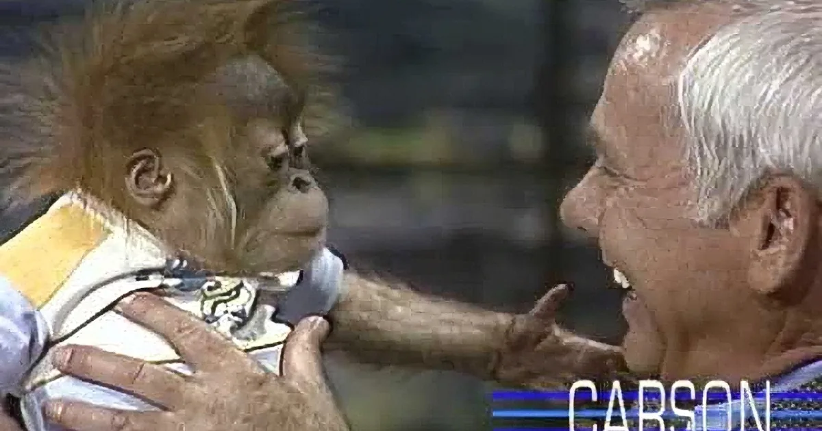 A man in a suit holds a baby orangutan, both appear calm, against a backdrop of trees and a structure.