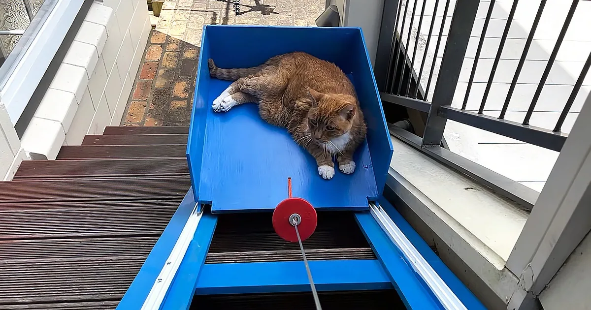 An orange tabby cat lounges on a blue sliding door, with a red wheel visible below.