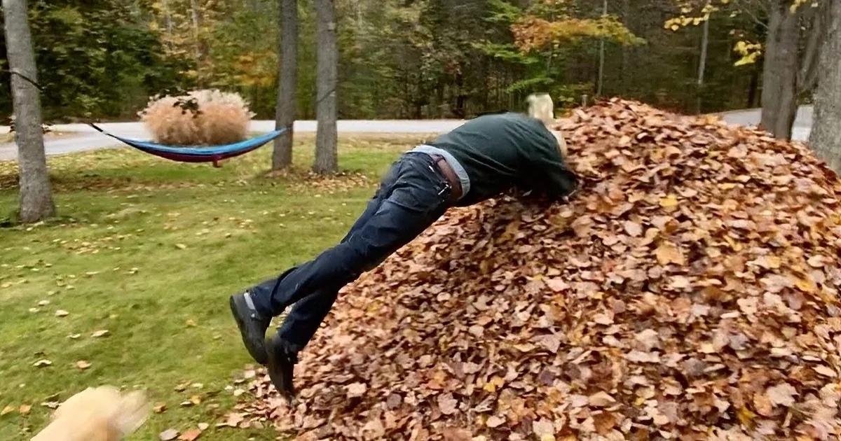 Feet in black boots and blue jeans are surrounded by fallen autumn leaves.