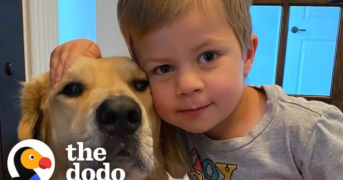Loyal Dog Checks up on Toddler Sibling Every Night