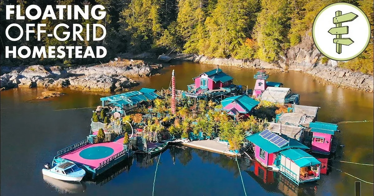 Two Artists Live off-Grid in Self-Sufficient Island Home