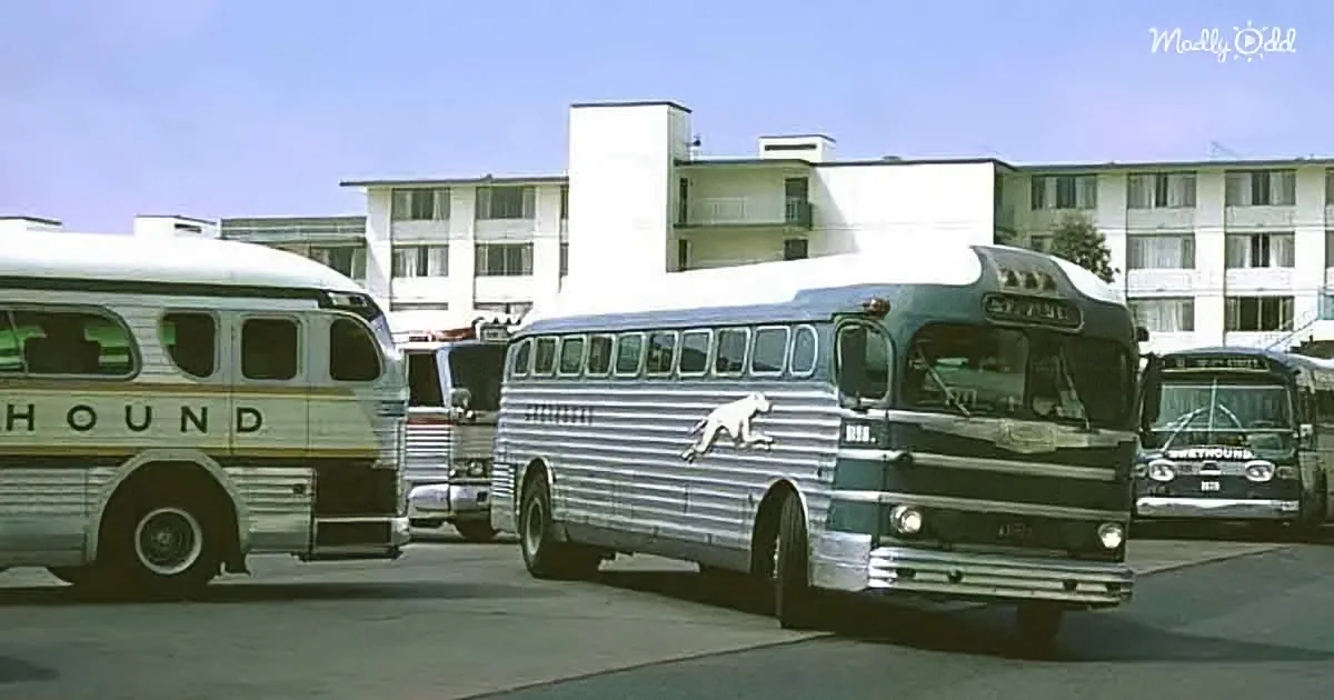 A vintage bus with a dog logo is parked in front of a white building with multiple windows.