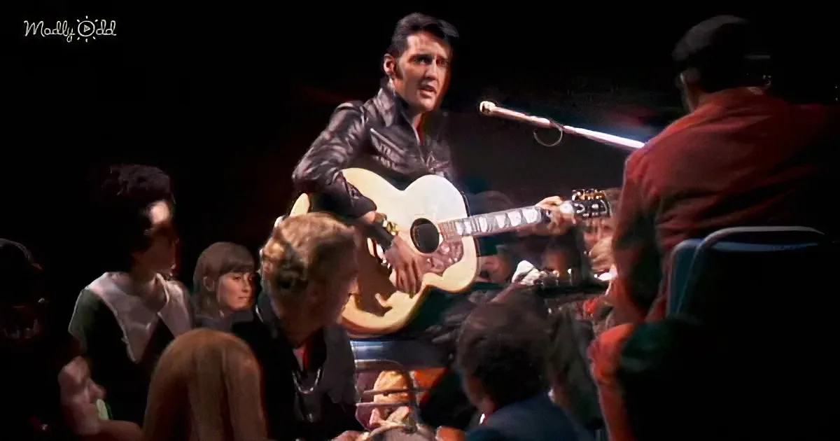 A man in a leather jacket plays a guitar on stage, surrounded by an audience.