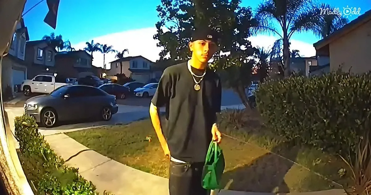 A person in a black outfit stands on a sidewalk holding a green bag, with houses and palm trees in the background.
