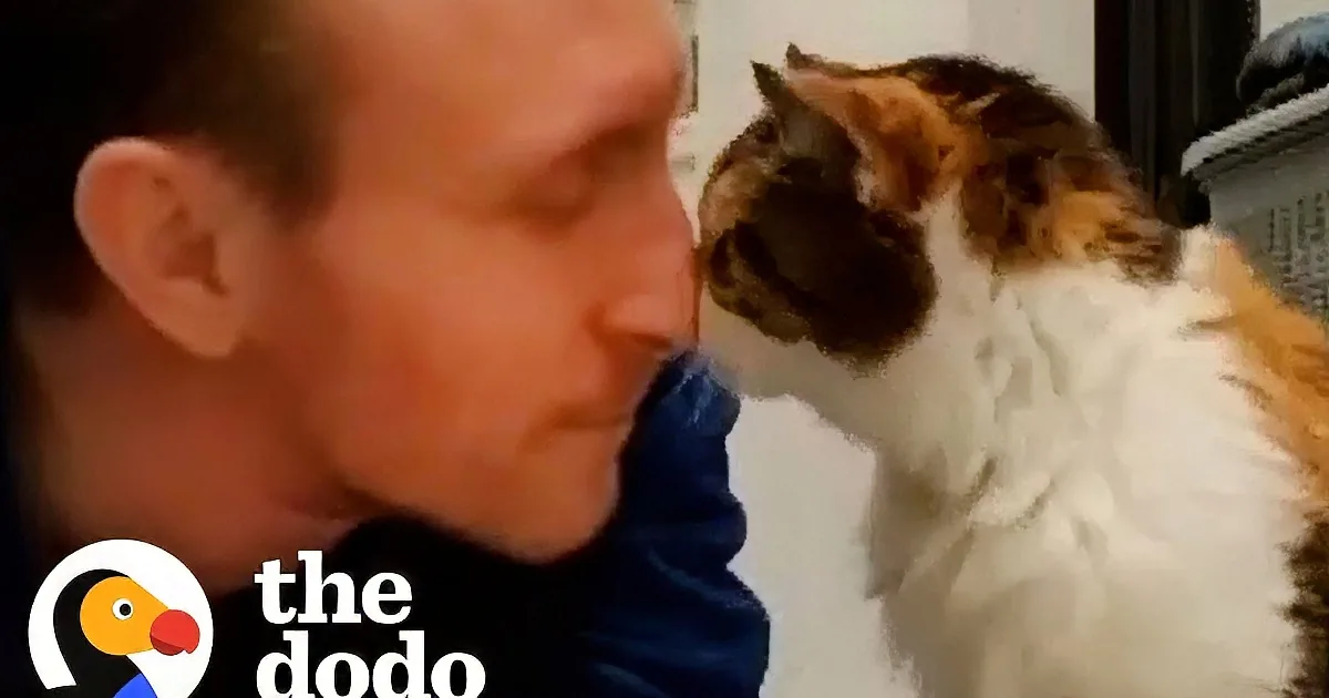 A man is seen interacting affectionately with a cat, holding it and smiling, while the cat looks up at him.