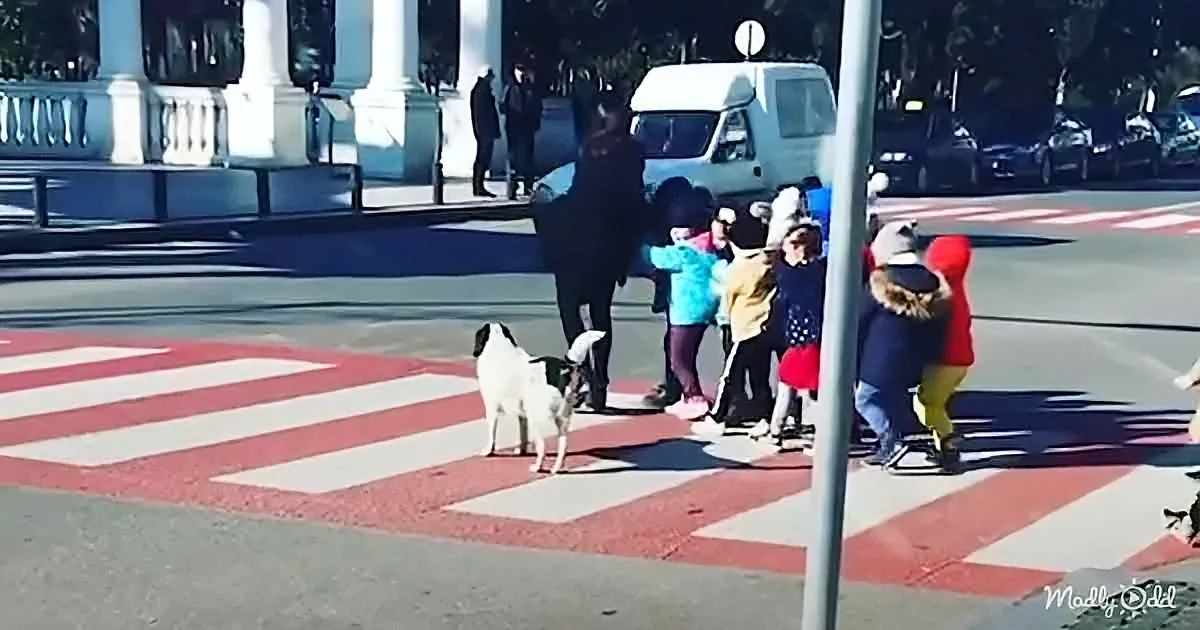 A dog stands on a crosswalk as children and adults wait, with a white van and buildings in the background.