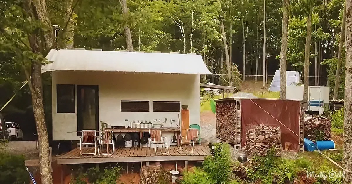 Off-Grid Tiny House Community Is an Economical Oasis for Residents