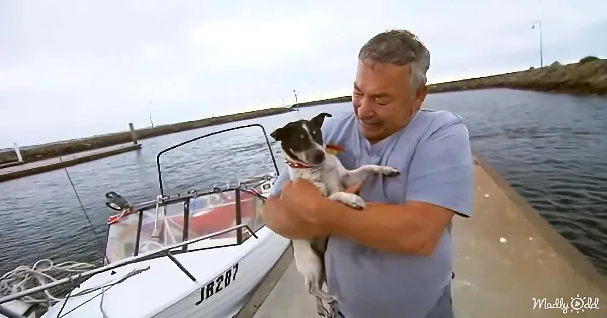 A man holds a small dog on a boat docked near calm water.