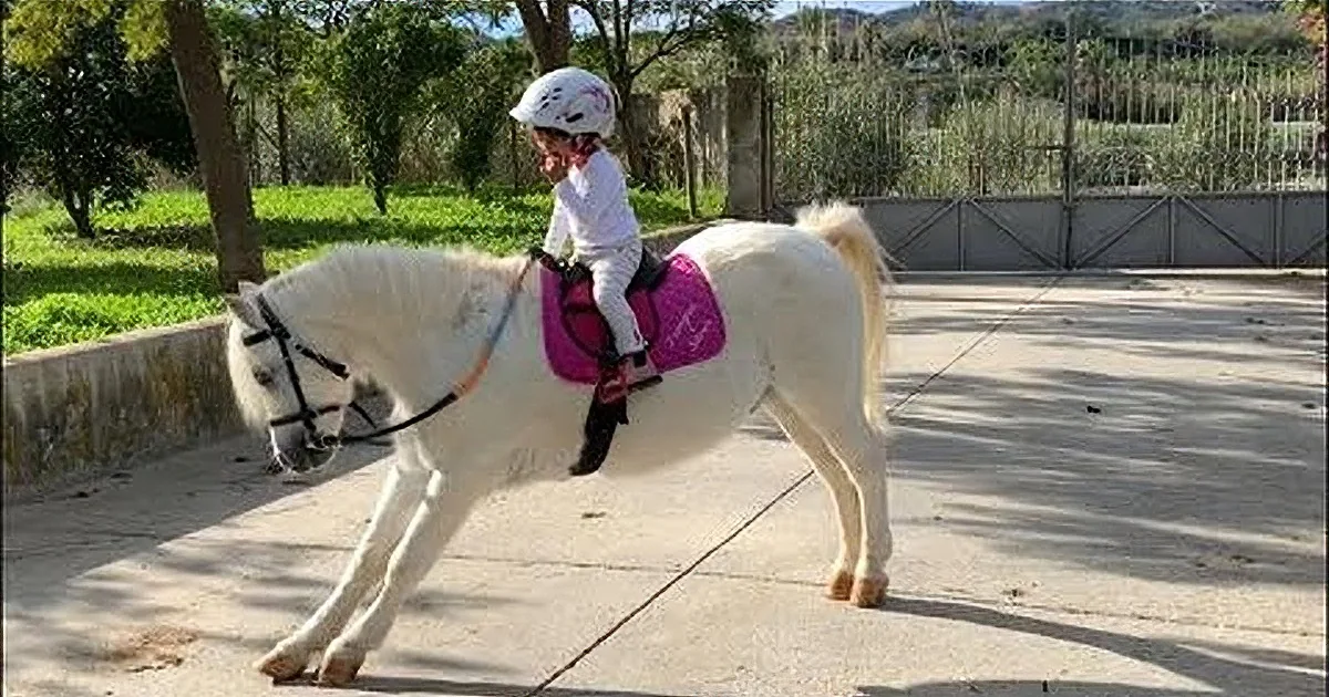 Little Toddler Loves to Go Horse Riding on Her White Pony
