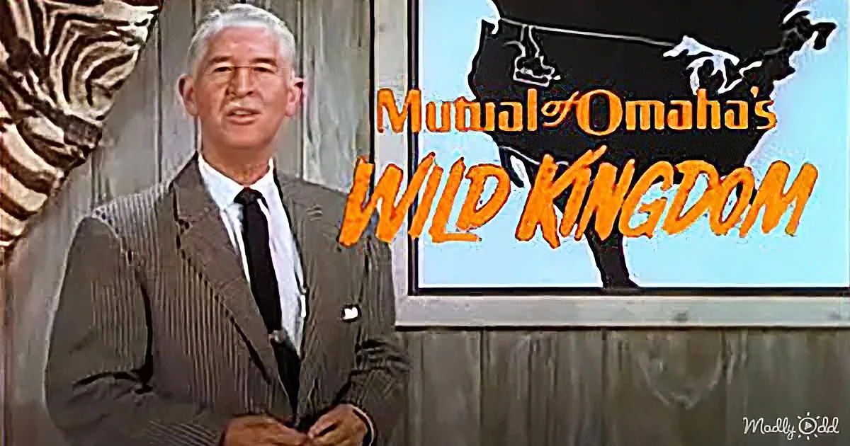 A man in a suit stands in front of a screen displaying "Mutual of Omaha's Wild Kingdom."