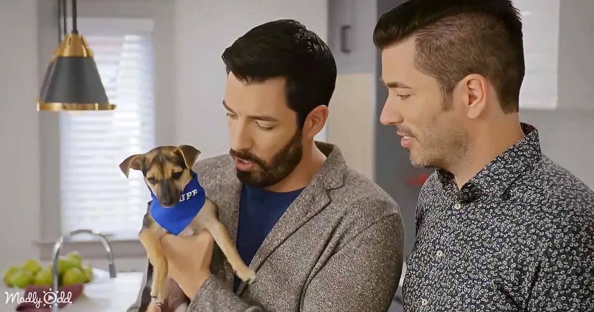 Two men in a kitchen, one holding a small dog with a blue bandana, another looking on.