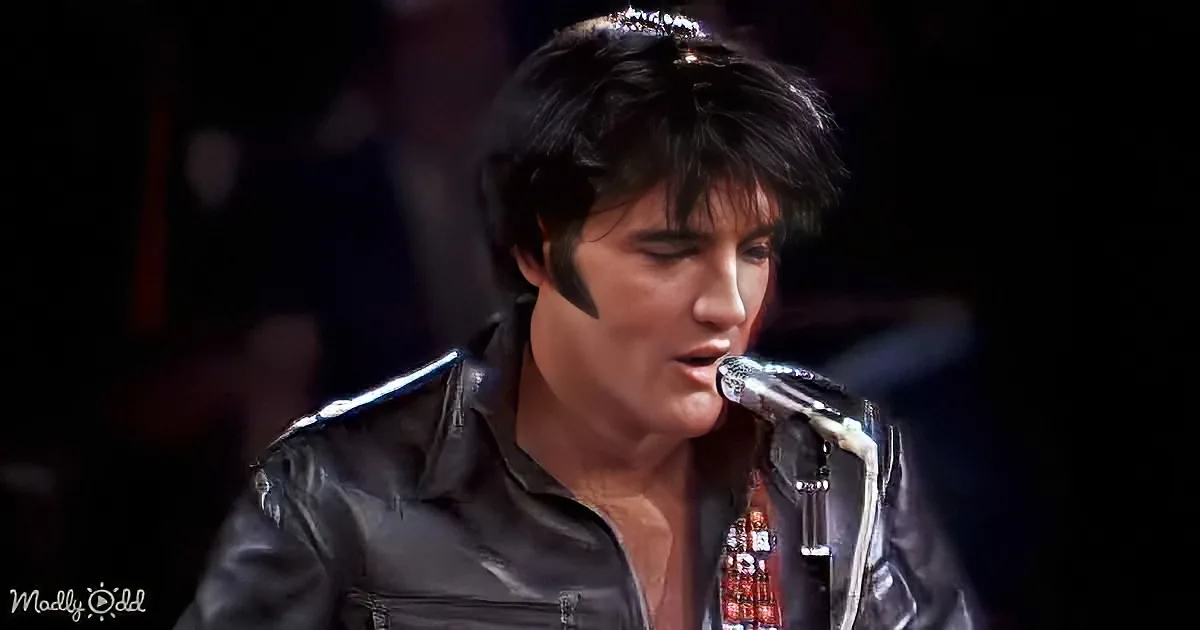 Get Your Groove on With Elvis Presley's 1968 'Blue Suede Shoes'