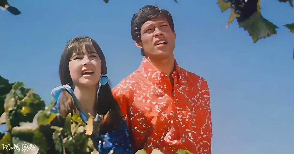 A man and woman in vibrant clothing stand outdoors, looking up, with a clear blue sky and green foliage in the background.