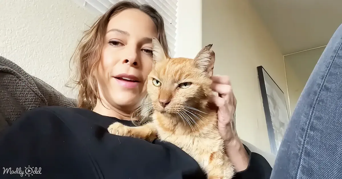 A woman holds a ginger cat on her lap, both looking directly at the camera.