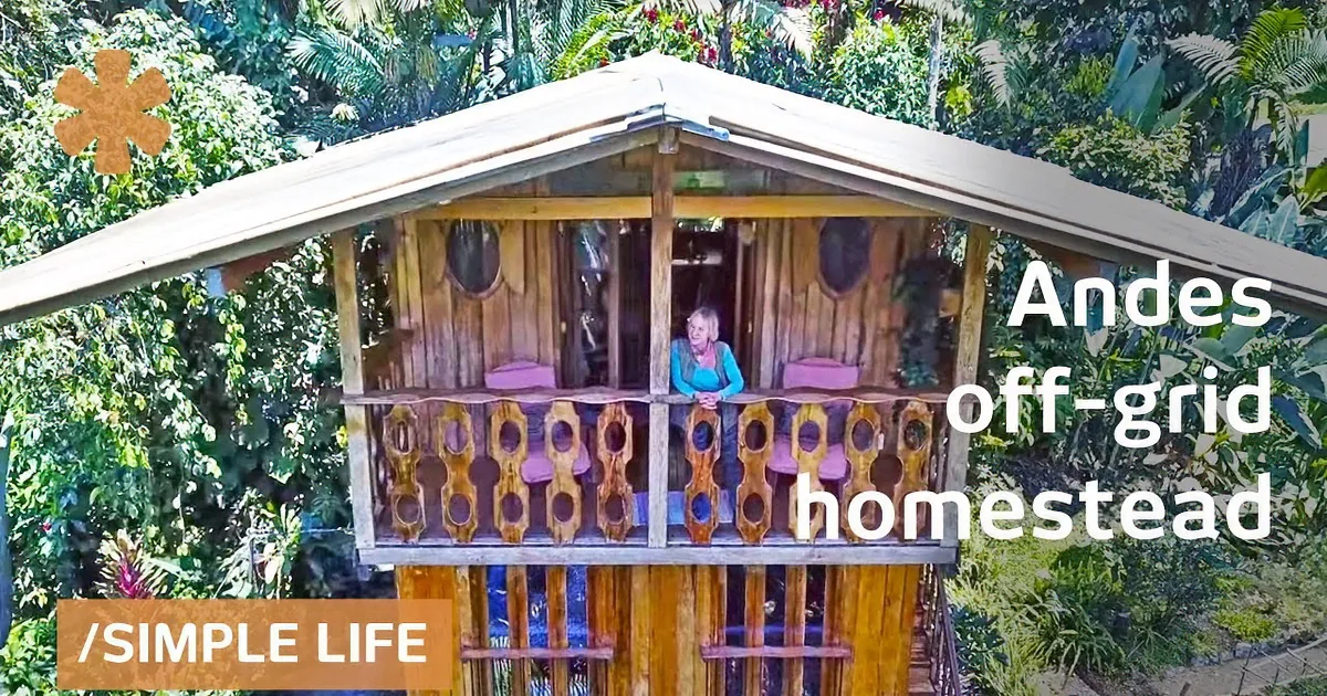 A rustic wooden house with a balcony sits amidst lush greenery and vibrant flowers under a clear blue sky.