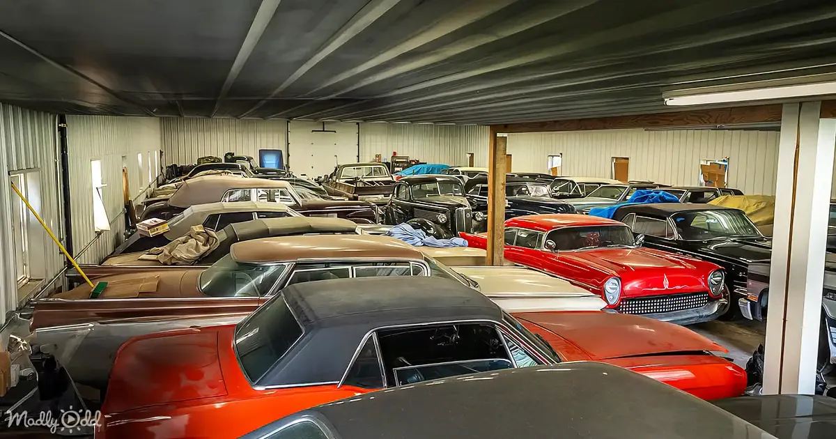 A large collection of vintage cars is stored in a spacious, well-lit garage with metal walls and a high ceiling.