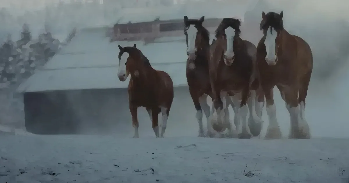 Budweiser Brings Back the Gorgeous Clydesdales and Labrador in Super Bowl Ad
