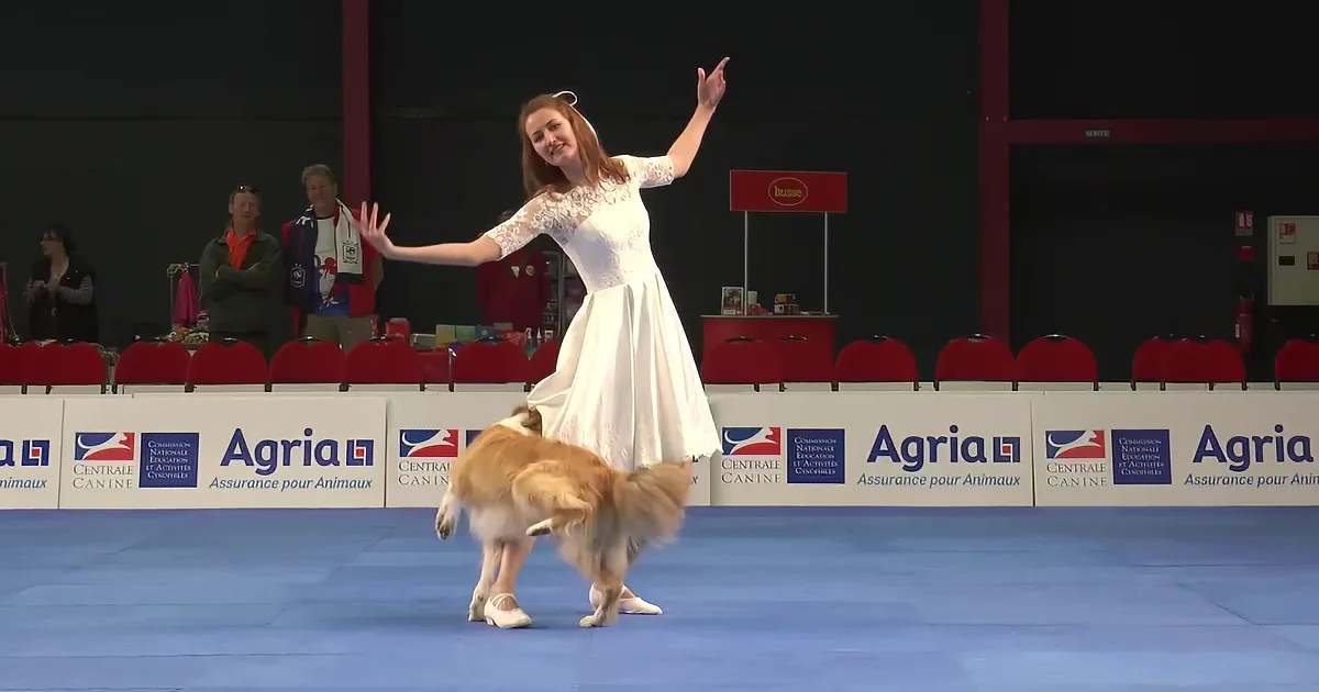 A woman in a white dress dances with a dog on its hind legs on a blue stage.