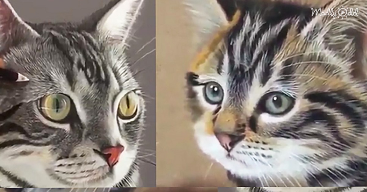 Amazing Artist Creates Hyper-Realistic Drawings on Wooden Boards