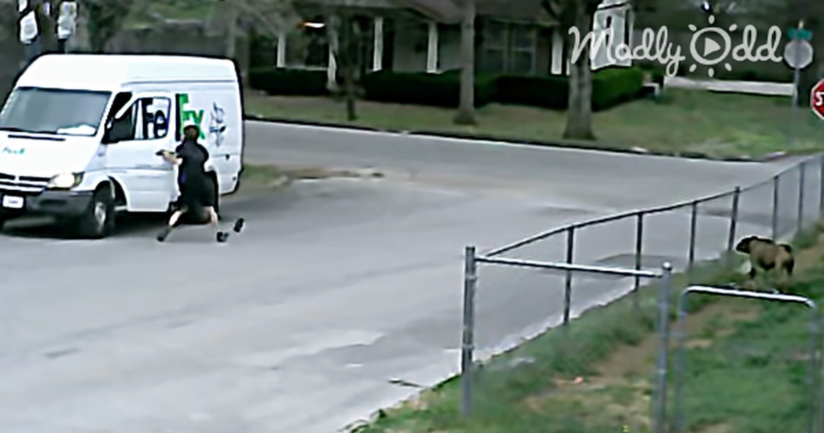 Security Camera Caught This Fedex Truck on the Run. I Really Didn't Expect That